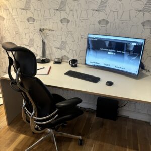 Humanscale Freedom Chair