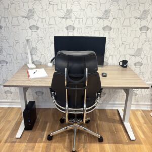 Humanscale Freedom Chair